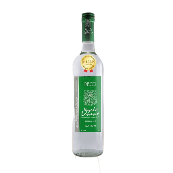 pisoc-italia-nyrla-levano